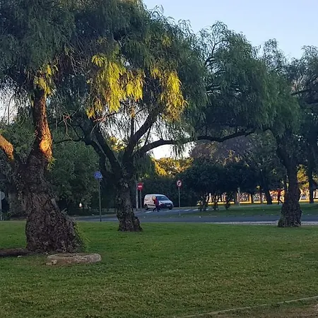 Frente A Palacio De Congresos Seville